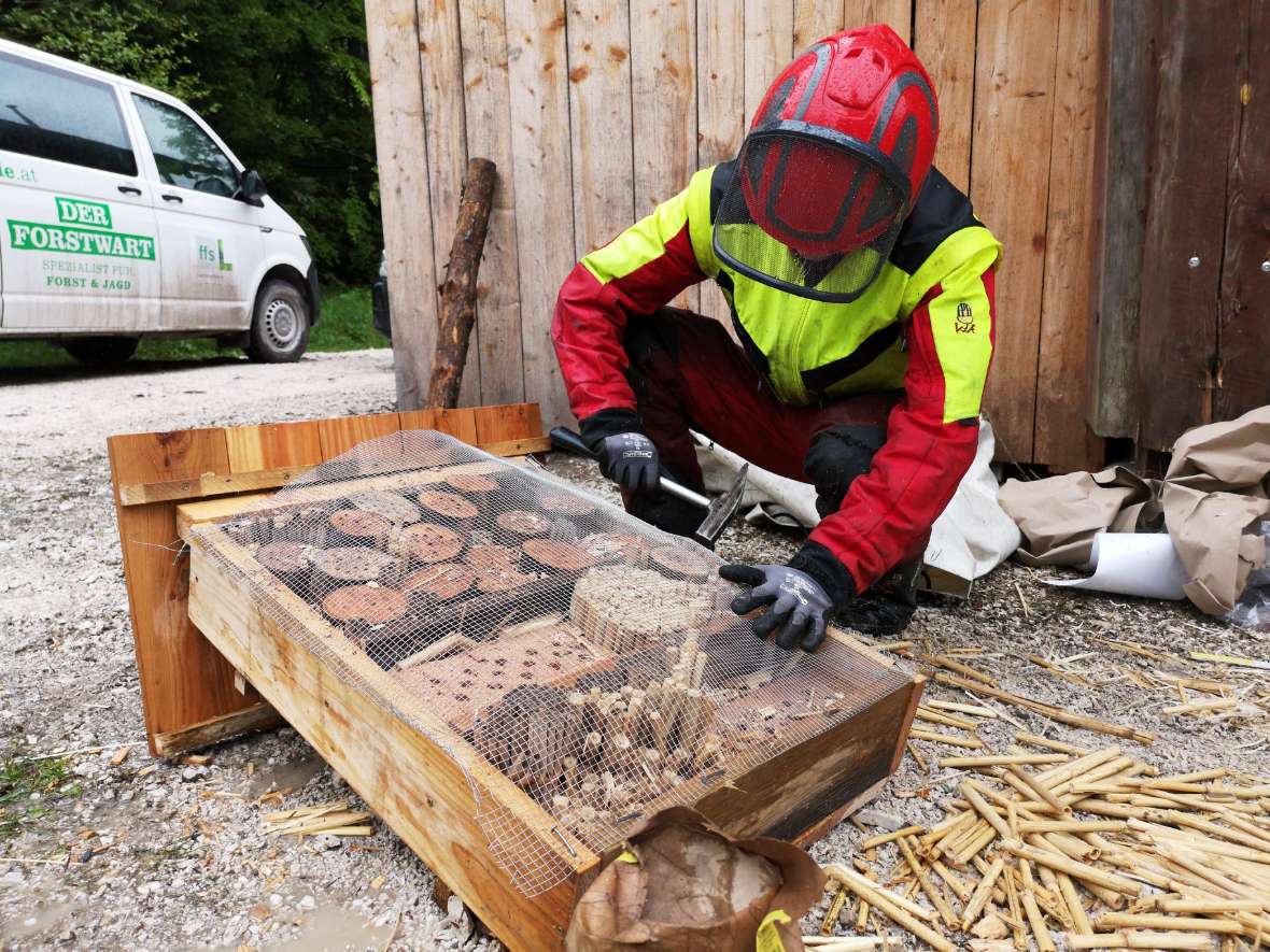 Schüler arbeitet in Schnittschutzkleidung an Insektenhotel