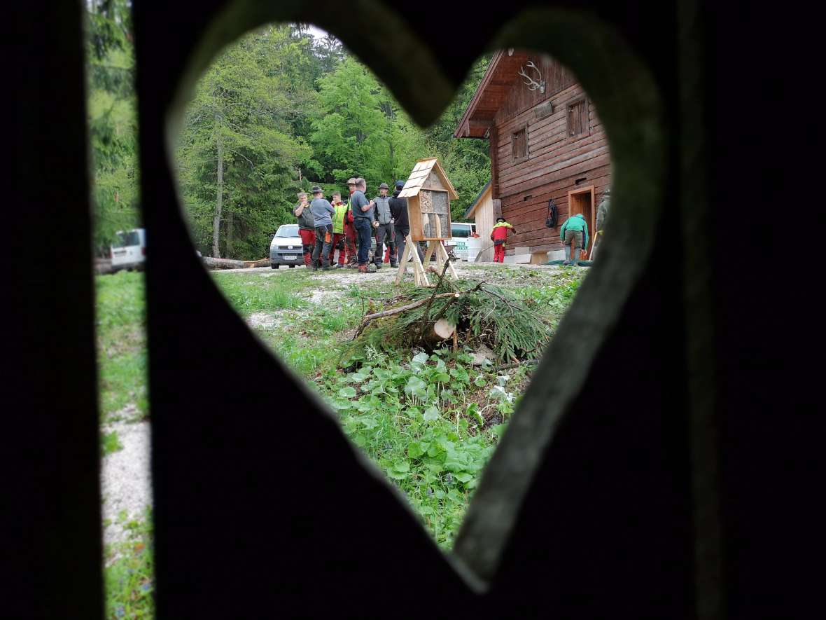 Durch Holzausschnitt in Herzform zu Gruppe hin fotografiert